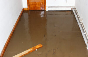 Flooded,basement,,suitable,for,contractors,or,basement,renovation,specialists