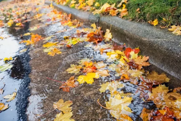Yard Drainage